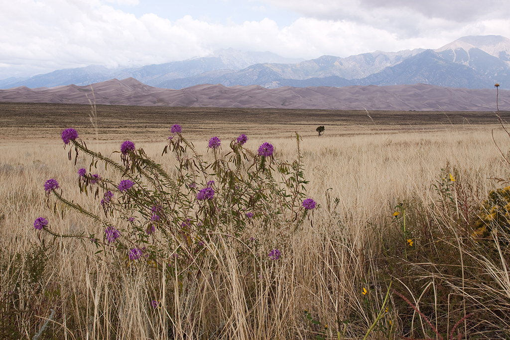 04_Great Sand Dunes National Park_1.jpg